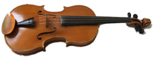 viola 002